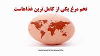 از تخم مرغ در روز جهانی تخم مرغ بیشتر بدانیم...